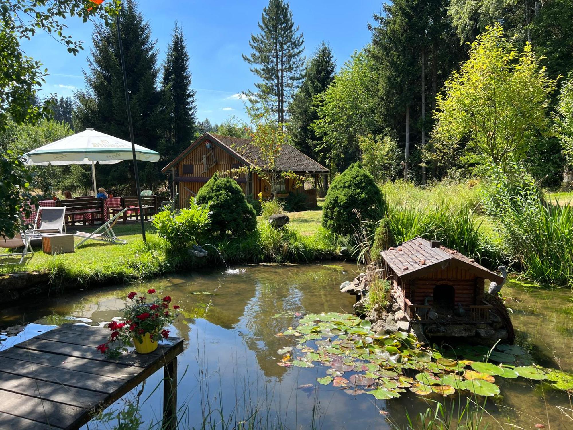Am Paulsberg Mit Sauna - V4 Apartment Braunlage