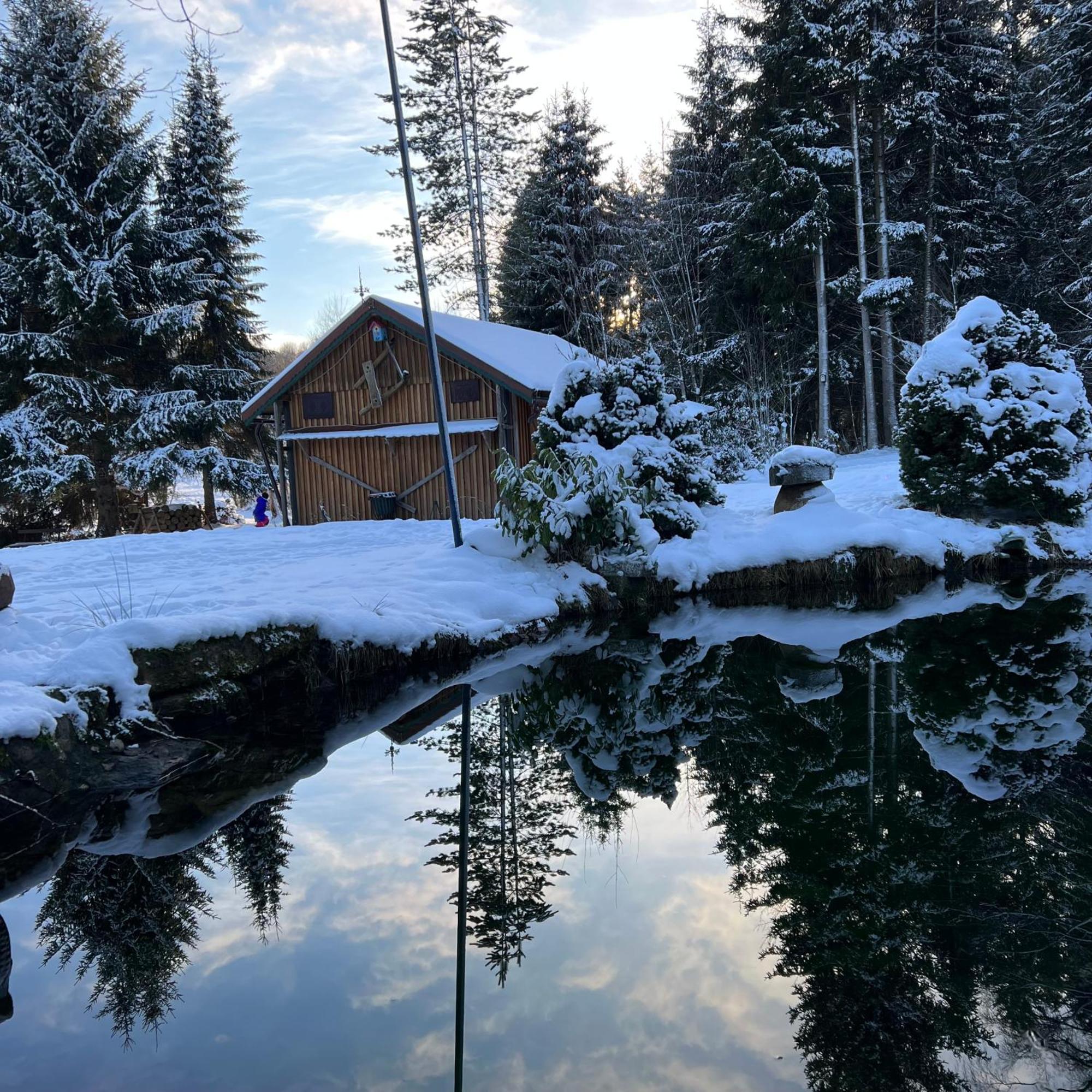 Apartment Am Paulsberg Mit Sauna - V4 *